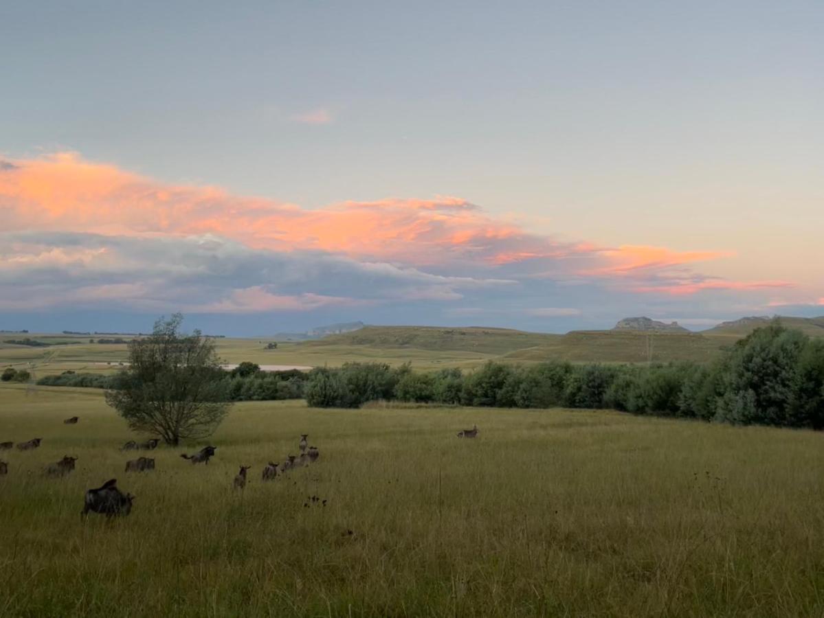 Buffalo Hills Private Game Reserve ハリスミス エクステリア 写真