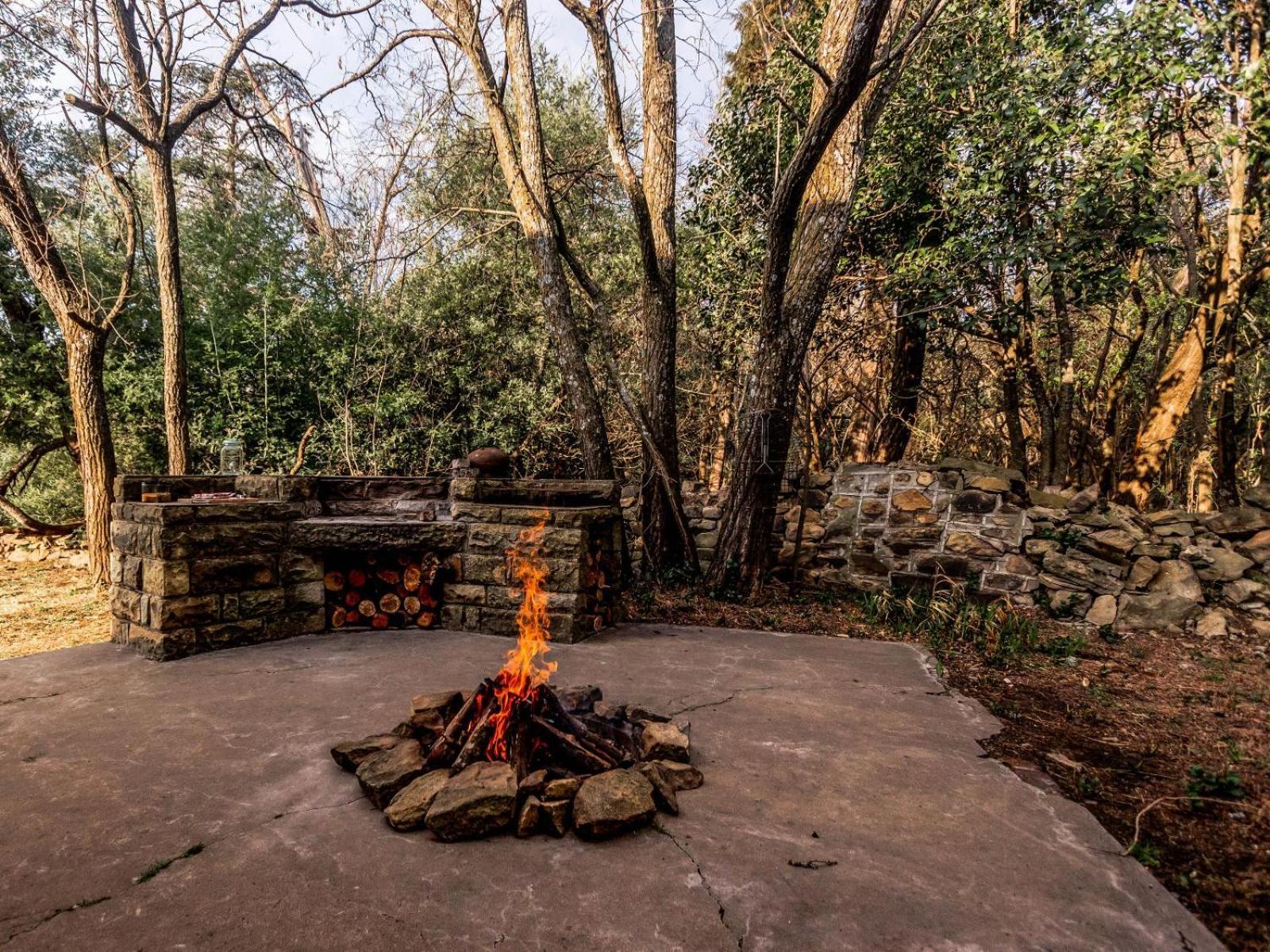Buffalo Hills Private Game Reserve ハリスミス 部屋 写真