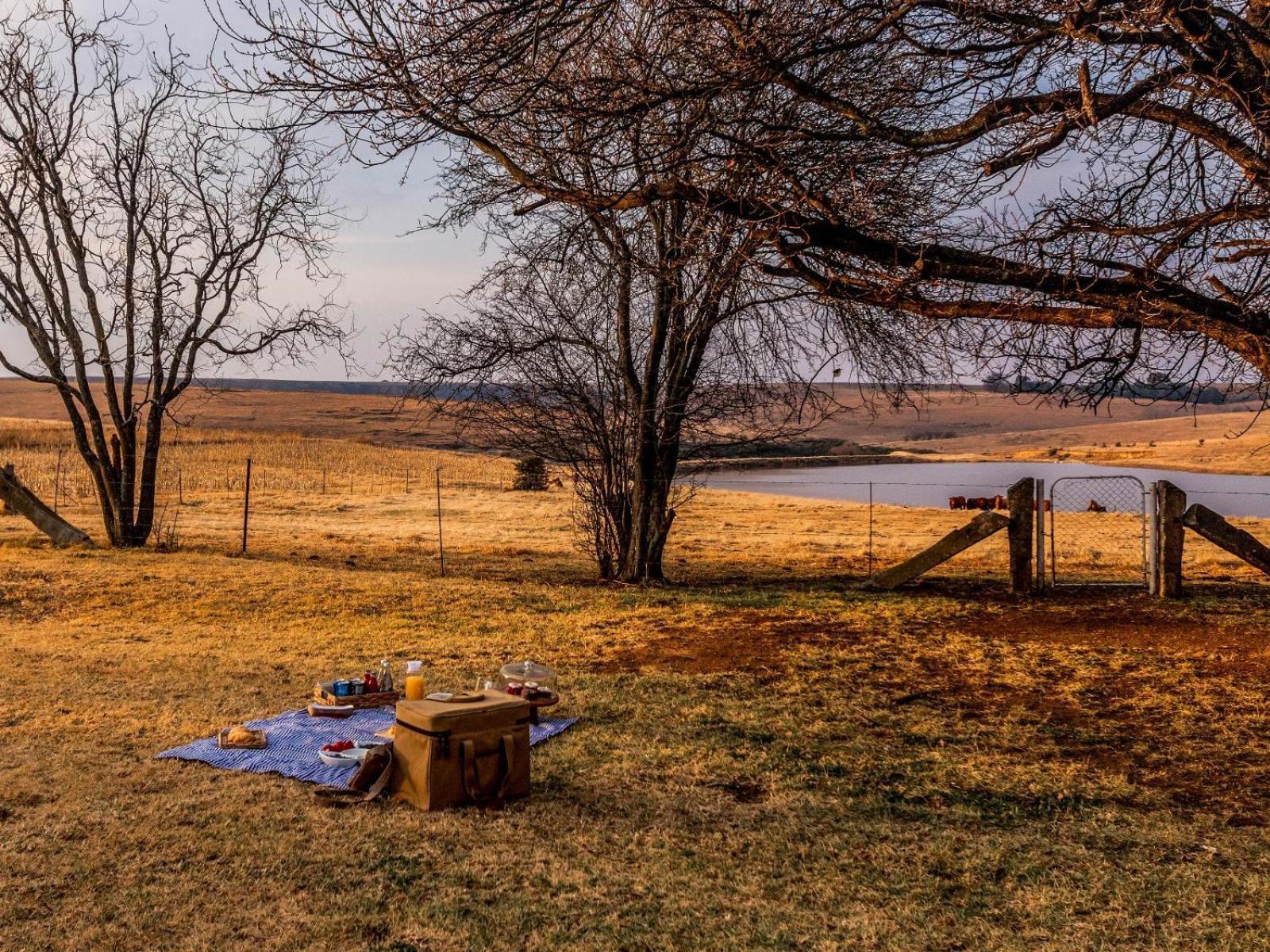 Buffalo Hills Private Game Reserve ハリスミス 部屋 写真